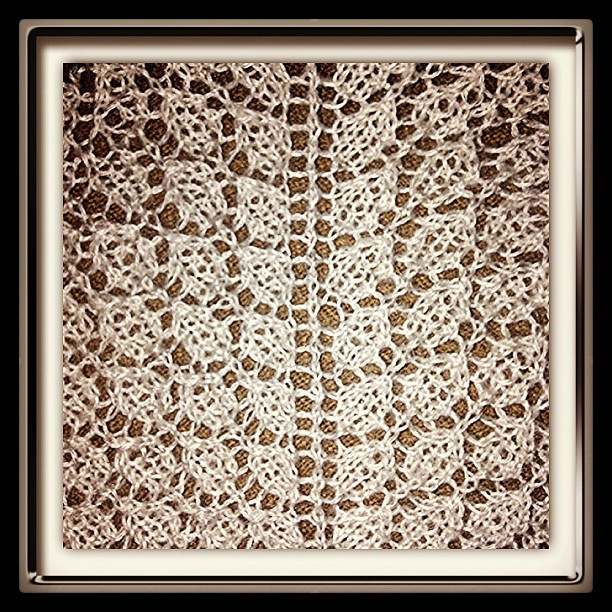 Close Up of the Lace. LACE